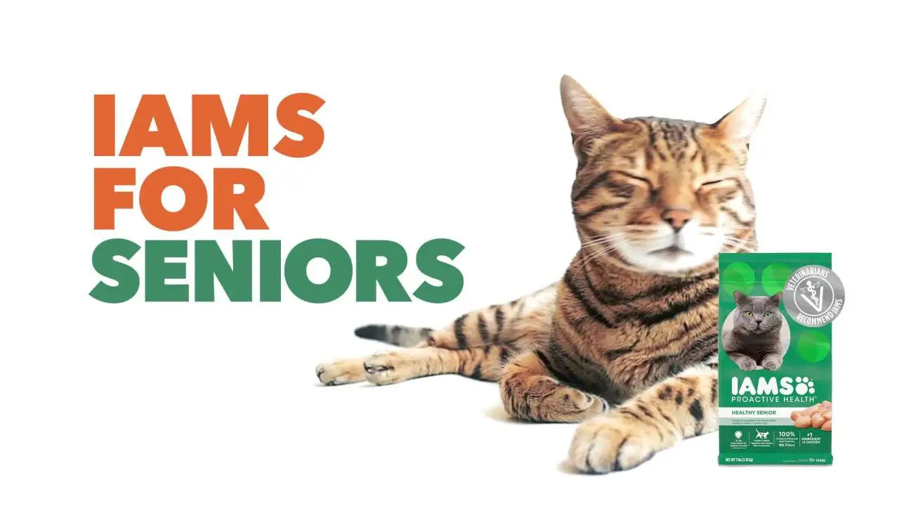Iams Proactive Health Chicken Dry Cat Food For Senior Cats, 7 Lb Bag